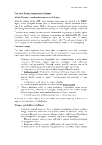 Post-Arab-Spring-changes-and-challenges-Salamey.pdf