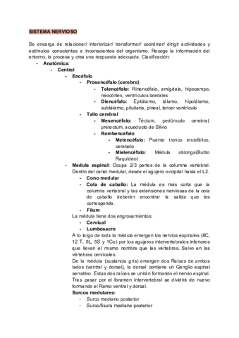 SISTEMA-NERVIOSO-CENTRAL.pdf