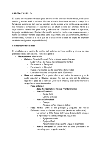 CABEZA-Y-CUELLO.pdf