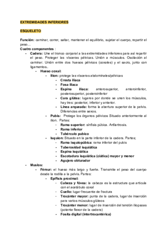 Extremidades-inferiores.pdf