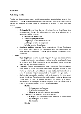 Vista-y-audicion-1.pdf