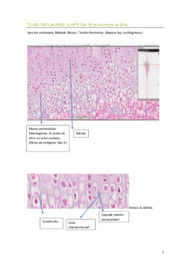QUINTO DÍA PRÁCTICAS.pdf