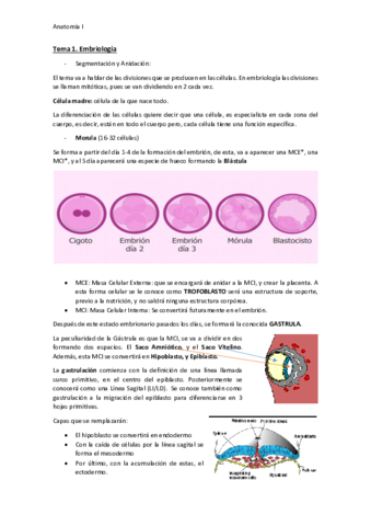 Apuntes-Anatomia.pdf