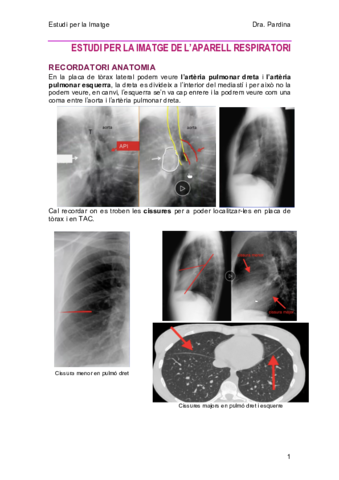 3-AparellRespiratori.pdf