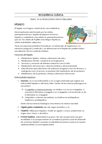 BIOQUIMICA-CLINICA-TEMA-10.pdf