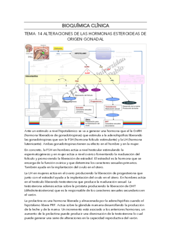 BIOQUIMICA-CLINICA-TEMA-14.pdf