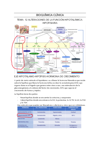 BIOQUIMICA-CLINICA-TEMA-12.pdf
