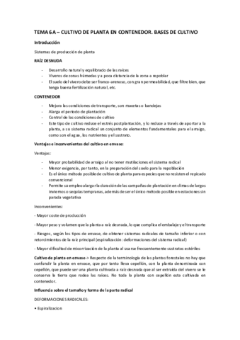 TEMA-6A-Cultivo-de-planta-en-contenedor.pdf