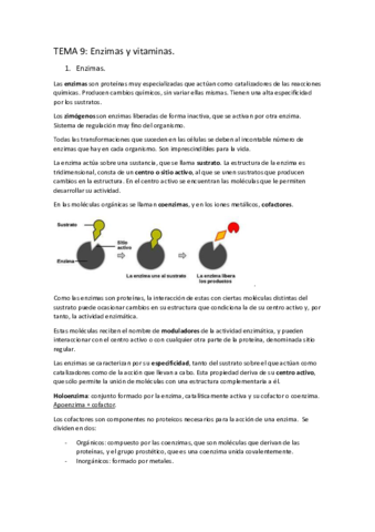 Tema-9-enzimas-y-vitaminas.pdf