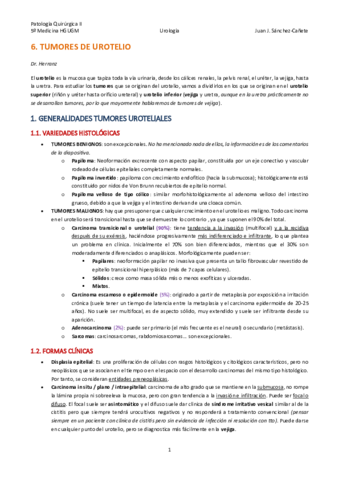 TEMA-6-CANCER-DE-UROTELIO.pdf