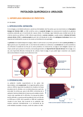 TEMA-1-HBP.pdf