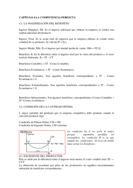 TEMA 4.pdf