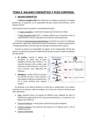Tema-2-balance-energetico.pdf