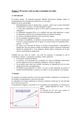 TEMA 2.pdf