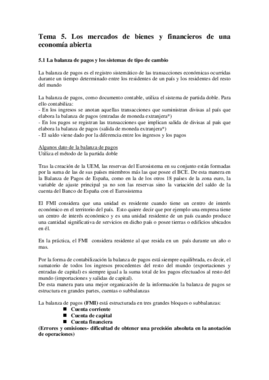TEMA 5.pdf