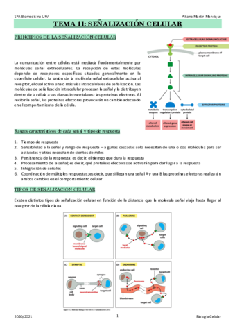 TEMA-11.pdf