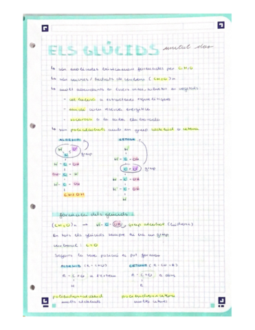 Els-glucids.pdf