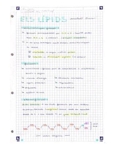 Els-lipids.pdf