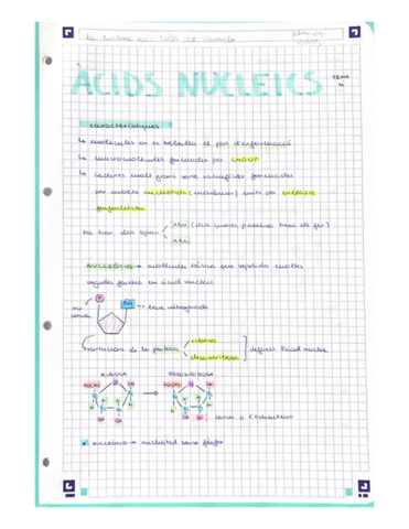 Documentos-escaneados.pdf