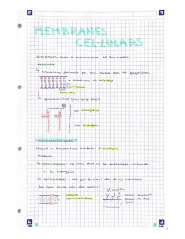 Membrana-celular.pdf