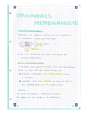 Organuls-membranosos.pdf
