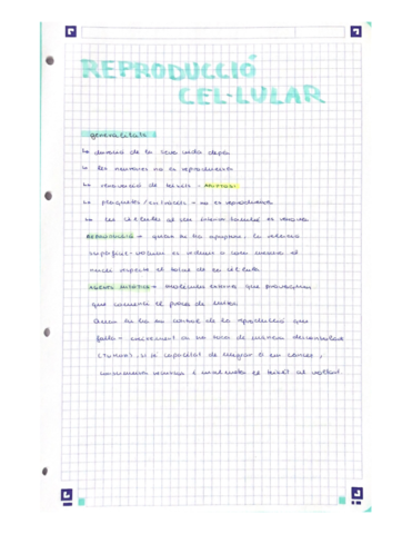 Reproduccio-celular.pdf