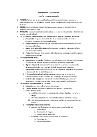 PREVENCIÓN Y SEGURIDAD - RESUMEN DEL TEMARIO.pdf