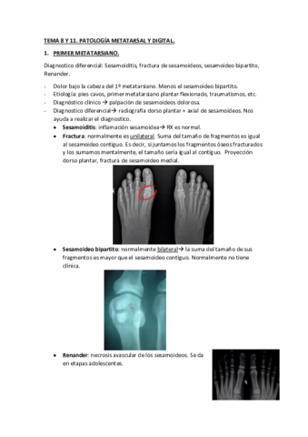 TEMA-8-Y-11.pdf