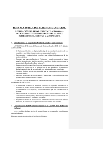 TEMA-3-PATRIMONIO.pdf