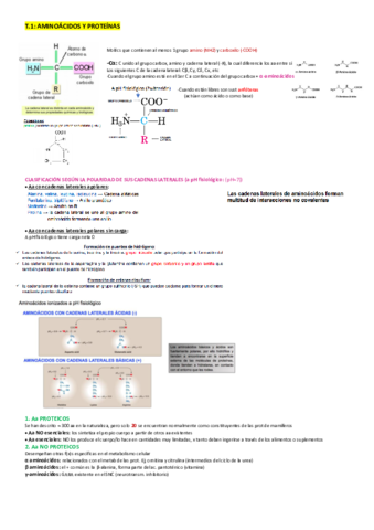 T1-Aminoacidos-y-proteinas.pdf