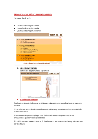 ANATOMIA-TEMA-29-Y-30.pdf