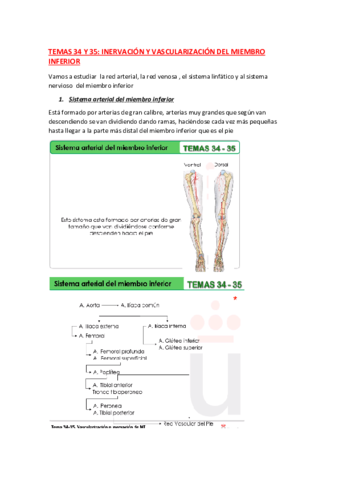 ANATOMIA-TEMA-34-Y-35.pdf