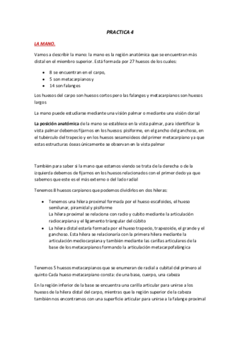 ANATOMIA-PRACTICA-4.pdf