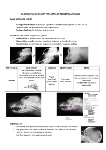 radiografia-pequenos-animales.pdf