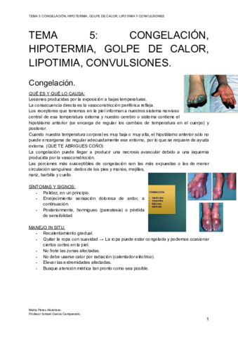 TEMA-5-CONGELACION-HIPOTERMIA-GOLPE-DE-CALOR-LIPOTIMIA-CONVULSIONES.pdf