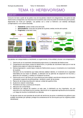 eco-tema-13.pdf
