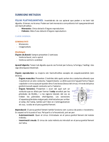 Segon-parcial.pdf