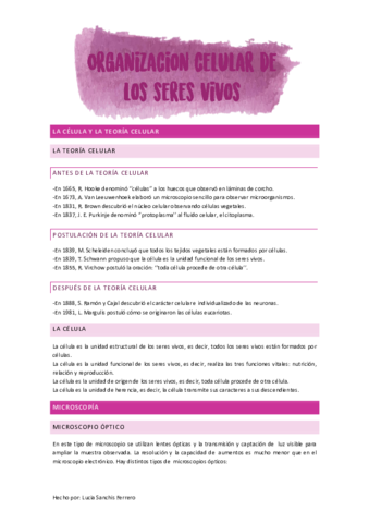 organizacion-celular-sv.pdf