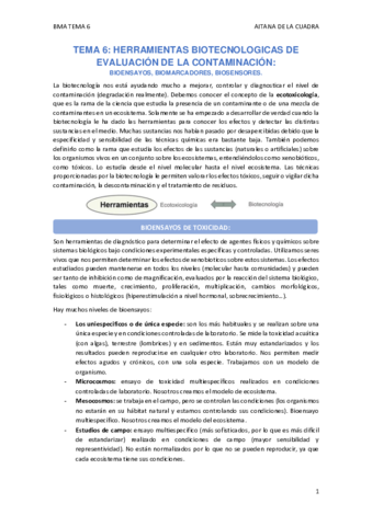 TEMA-6.pdf