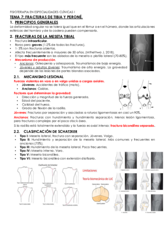 TEMA-7-especialidades-clinicas-I.pdf