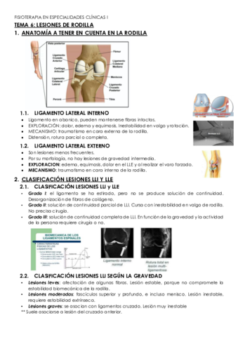 TEMA-6-especialidades-clinicas-I.pdf