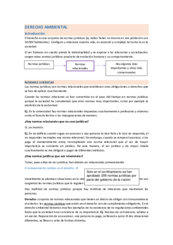DERECHO-AMBIENTAL1.pdf