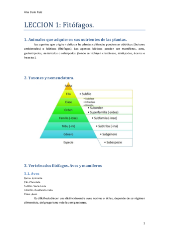 Tema-1.pdf