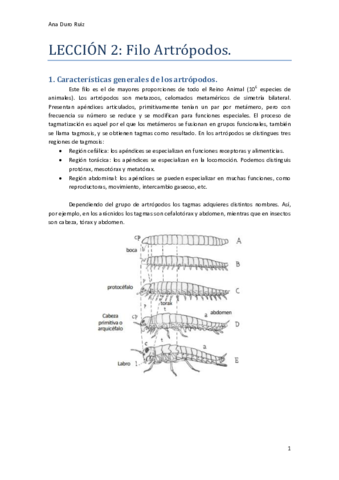 Tema-2.pdf