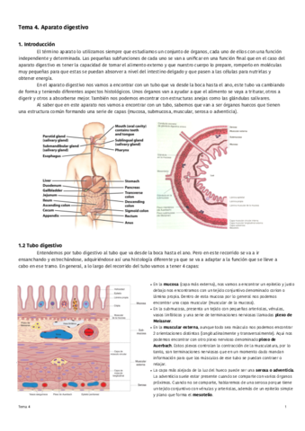 Tema-4-Aparato-digestivo.pdf