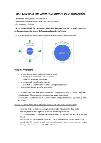 MAESTRO-TEORIA-T1.pdf