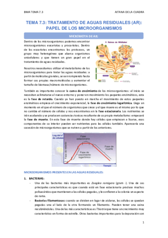 TEMA-7.pdf