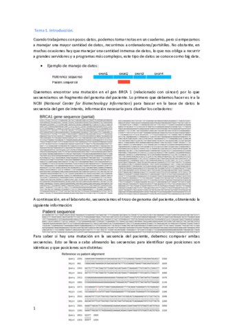 Teoria-completa.pdf