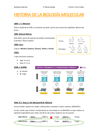 APUNTES-TODO-BIO-MOLEC.pdf