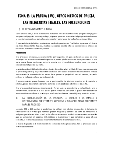 TEMA-13-LA-PRUEBA-IV.pdf